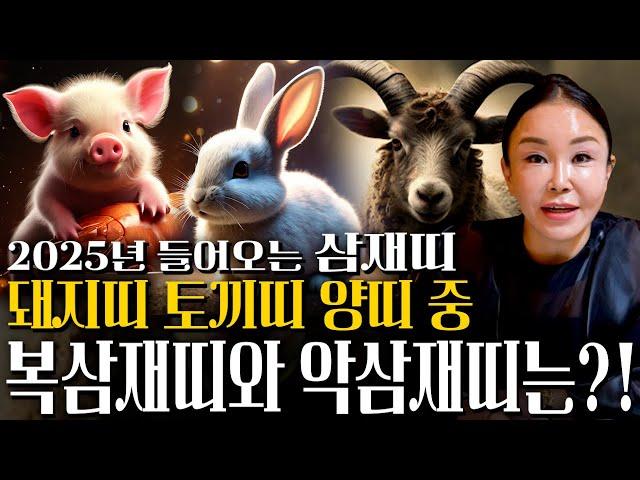 2025년 삼재띠 운세 특집 2025년 을사년에 대박나는 복삼재띠는 어떤 띠? 토끼띠 양띠 돼지띠  운세 삼재띠 분들은 꼭 미리 알고 예방하세요! 2025년 운세