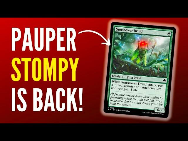 NEW Mono Green STOMPY Brews To CRUSH the Competitive MTG Pauper Meta