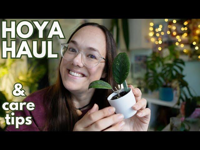 Hoya unboxing with plant care tips and update | Plant with Roos