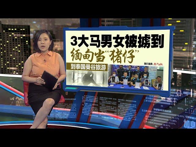 到泰国曼谷旅游   3大马男女被掳到缅甸当“猪仔” | 新闻报报看 06/11/2024