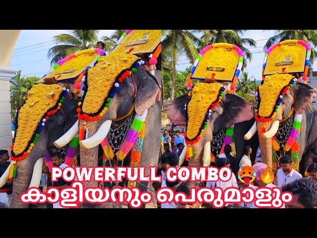 POWERFULL COMBOകാളിയനും പെരുമാളും || ചിറക്കൽ കാളിദാസൻ || പാമ്പാടി രാജൻ || പോർക്കുളം പെരുന്നാൾ 2024