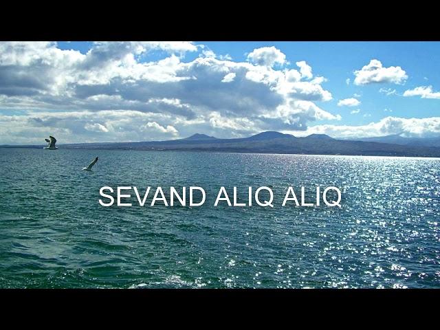 Armen Qaridi - Sevand Aliq Aliq  ___ music 2018 ___