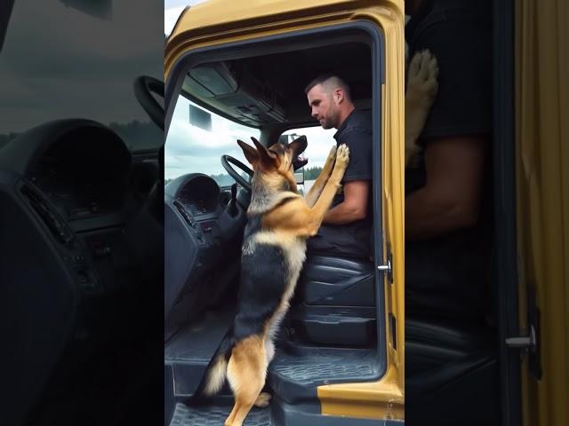 Hero Dog Saves Baby From Sandy Hole! #dogs #pet #shorts