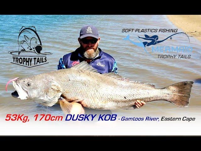 53kg Dusky Kob, Gamtoos River