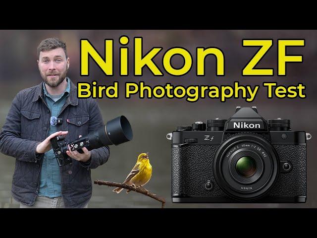 Nikon ZF for Bird Photography - Tested and Reviewed