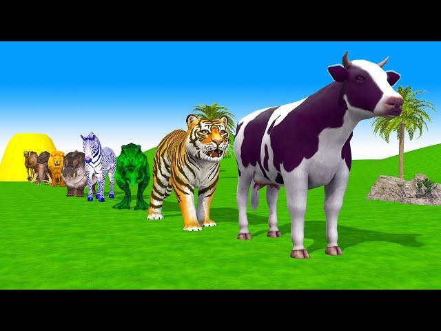 Paint Animals T rex, Tiger Hippo Zebra Buffalo Camel Elephant  Fountain Crossing Animals