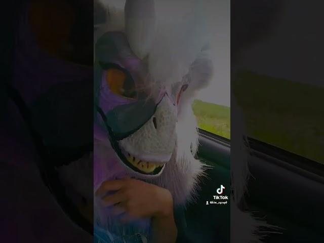 another video from the trip (⁠ ⁠╹⁠▽⁠╹⁠ ⁠) #mask#tiktok#furries#fypシ#raptor#fursuit#trip#vibe