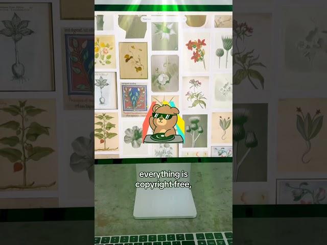 Drop a comment if you want this app! #moodboard #pinterest  #graphicdesign #canada #funny #animate