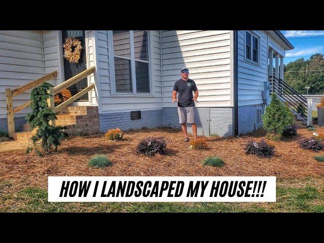 How to Landscape the Front of Your House |Part 1|