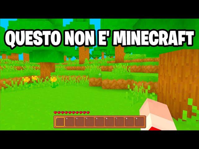 QUESTO NON È MINECRAFT!