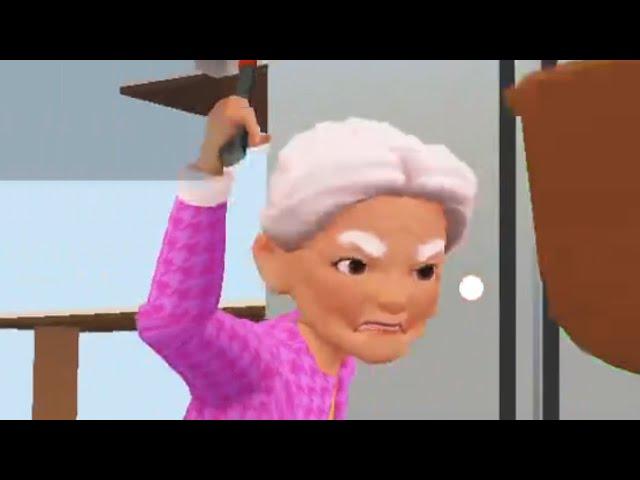 CAT AND GRANNY ARE BACK