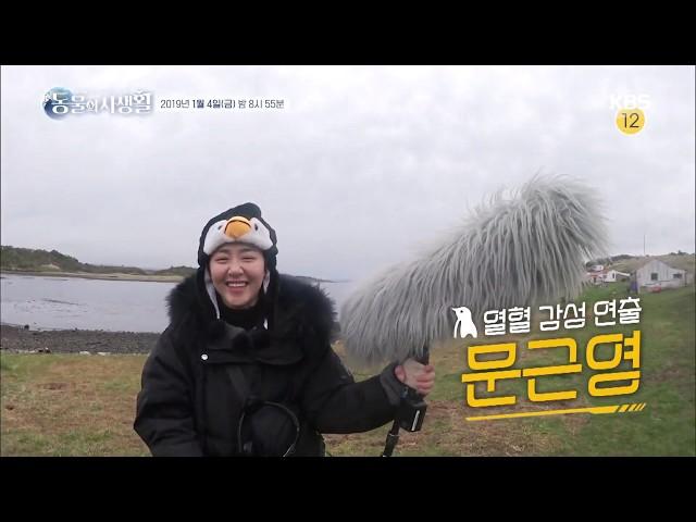 20190104 은밀하고 위대한 동물의사생활 예고 ㅣ KBS방송