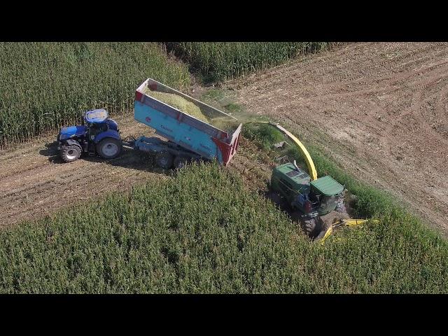 Silage 2019