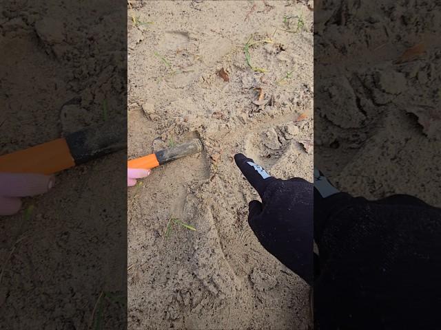 This will happen to you if you buy a metal detector