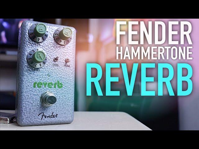 Fender Hammertone Reverb | Great Reverb at a GREAT Price