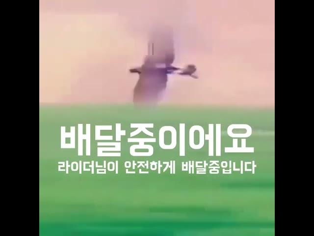 매사냥의 무서움 (80kg 성인도 당할수있음)