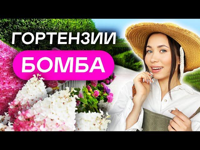 15 САМЫХ НЕПРИХОТЛИВЫХ гортензий для 6 соток