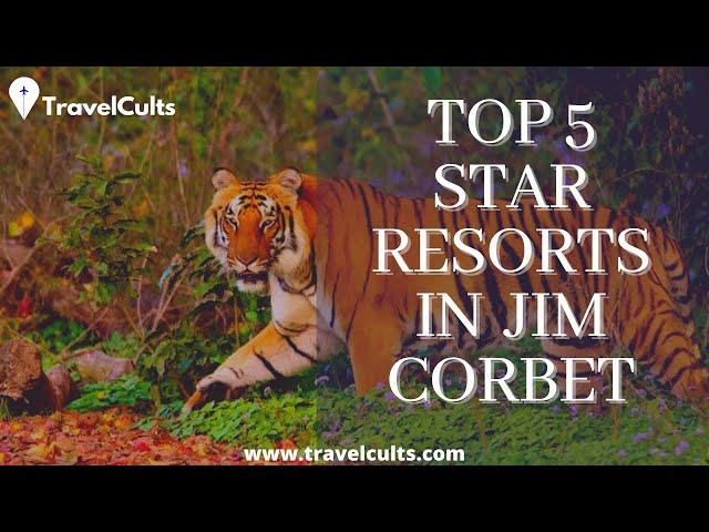 Top 5 Star Resorts in Jim Corbett | Best Resorts in Jim Corbett | Travelcults