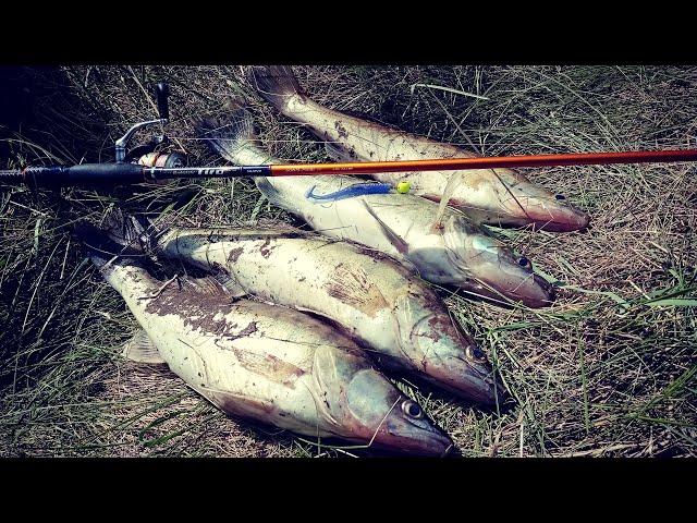 THE RIGHT Jig Step from the SUDACHATNIK. WALLEYE fishing from the Shore