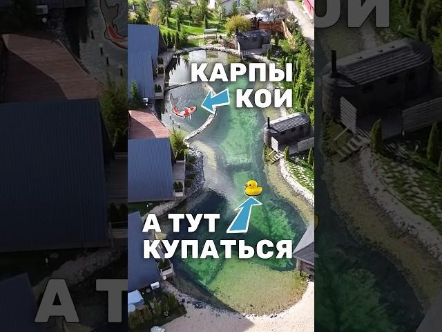 Создание пруда для купания и карпов кои. Плавательный пруд с прозрачной водой для базы отдыха #пруд