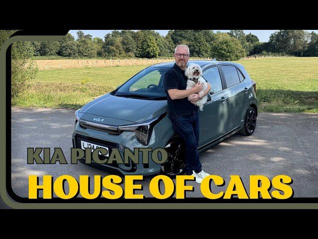 Kia Picanto - Why this car is like a dog.