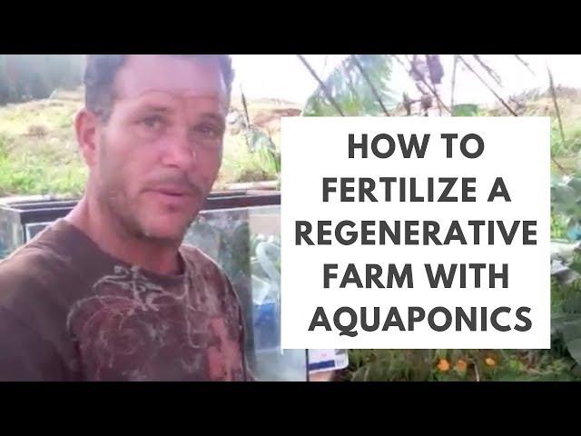 How to Fertilize a Regenerative Farm with Aquaponics