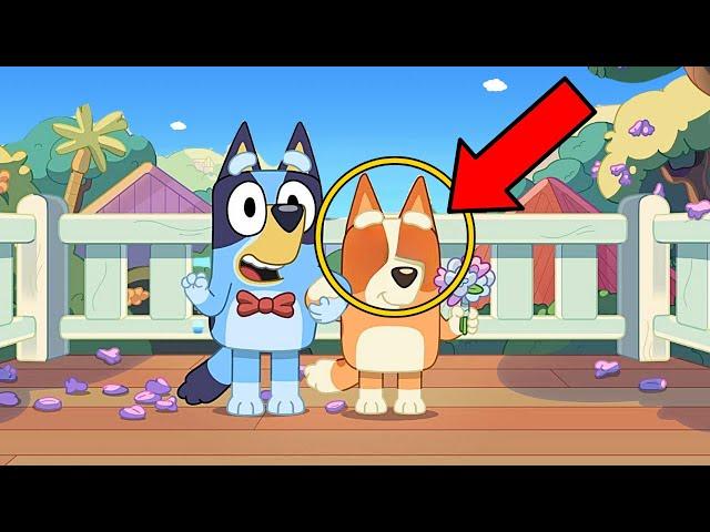 Animation Mistakes In Bluey, You NEVER Noticed