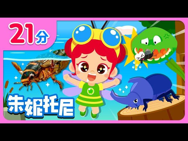 昆虫博士合集🪳 | 水里生活的昆虫 | 生活在家里的昆虫 | 昆虫伪装术 | Kids Song in Chinese | 兒歌童謠 | 卡通動畫 | 朱妮托尼童話故事 | JunyTony