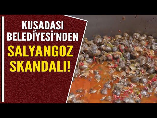 KUŞADASI BELEDİYESİ'NDEN SALYANGOZ SKANDALI!