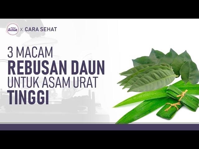 Asam Urat Tinggi? Coba 3 Rebusan Daun Ini | Hidup Sehat tvOne