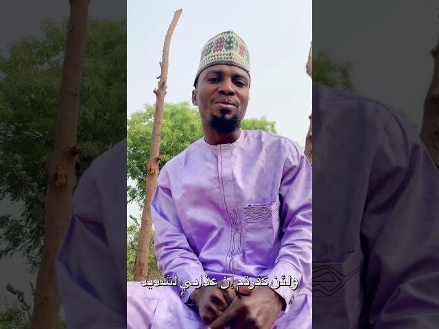IMORE by: Shaikh Alqohiry