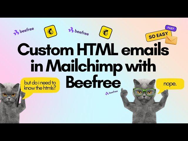 Create beautiful, custom emails with BeeFree, export to Mailchimp - NO CODE 