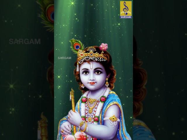 Sreemukunda | Evergreen Krishna Devotional | Madhu Balakrishnan | Vasudevam Bhaje