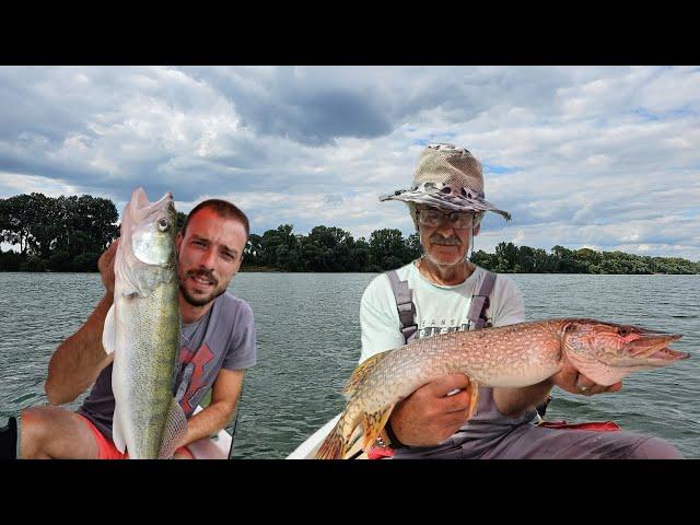 PECANJE SMUĐA I ŠTUKE NA ZGAŽENOG KEDERA #fishing #zander #pike