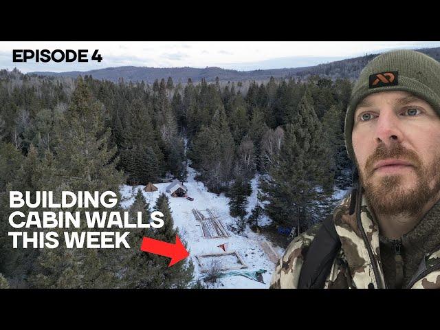 Winter Log Cabin Build on Off-Grid Homestead |EP4|