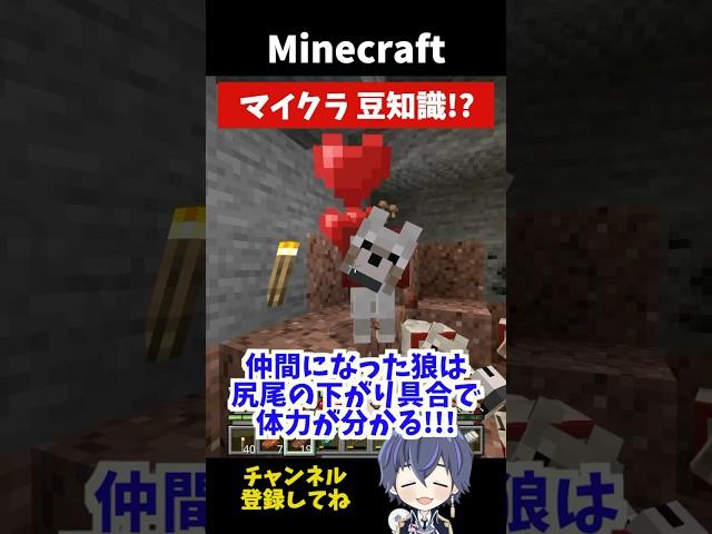 【マイクラ】ねぇねぇ知ってる？マイクラ豆知識！