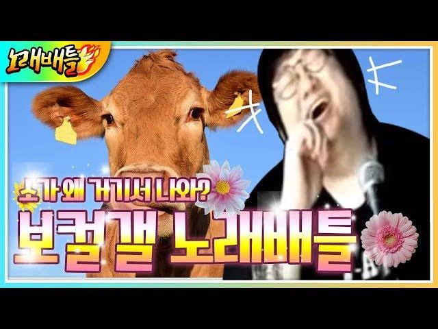 소가 왜 거기서 나와....? 코웃 뺨치는 존나 웃긴 보컬갤 노래배틀(노래하는코트)