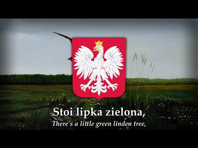 "Lipka" (A little linden) - Polish Folk Song