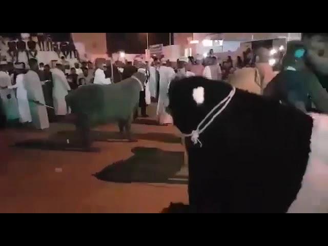 جشن نوروز در استان مٌسَندم و شهر خصب و  یکی از روستاهای ولایت قریات در شمال عمان