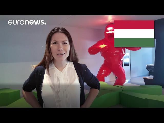 Euronews hunts for the longest words - watch our selections