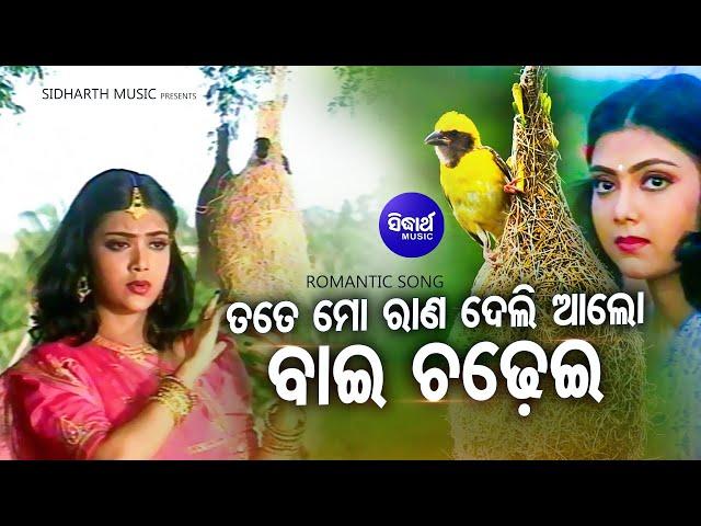 Tate Mo Raana Deli Alo Baichadhei- Superhit Sad Song | Namita Agrawal | Maina,Bobby |Sidharth Music