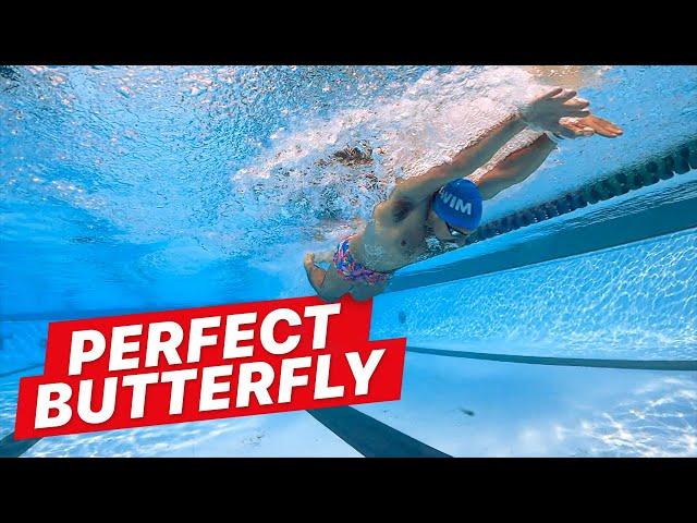 How to Swim Butterfly with Perfect Technique