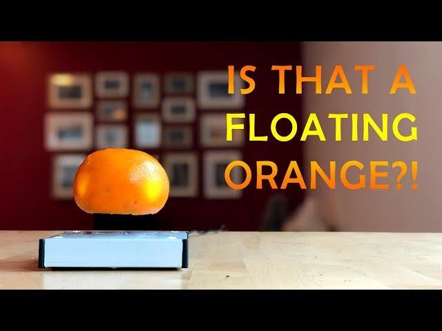 Floating Oranges & More! Magnetic Levitation Levitron