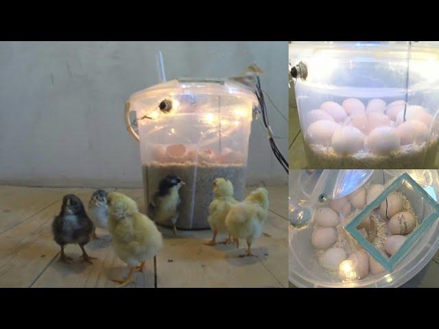 Making an incubator at home is very simple and easy | صنع حاضنة في المنزل أمر بسيط وسهل للغاية