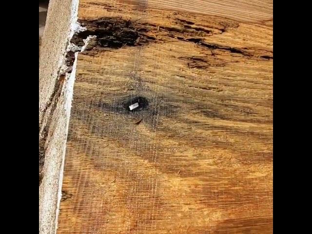 Huge Iron Strike on Sawmill #sawmill #woodworking #iron #shorts #short #whiteoak #wickedwoodsnwllc