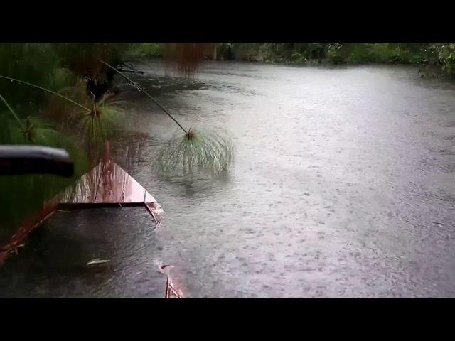 Relaxing Rain Sounds on the Lake for Sleep, Meditation, Study or Soothing a Baby