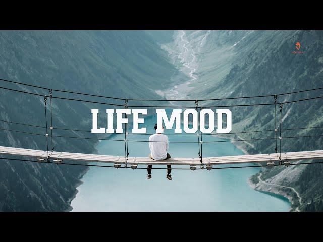 Life Mood~ A Playlist Full of Positive Vibes | An Indie/Folk/ Acoustic Compilation