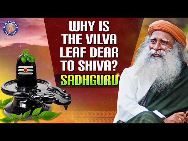 Why is the Vilva Leaf Dear to Shiva? | शिव को विल्व पत्र क्यों प्रिय है? | Devotional Facts
