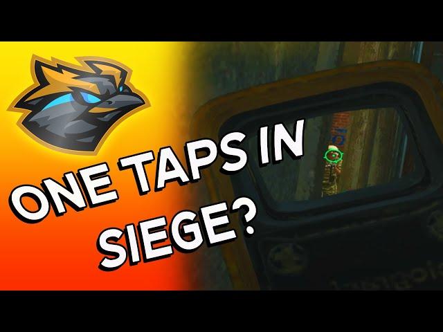 Hitting one taps feels DIFFERENT - Rainbow Six Siege