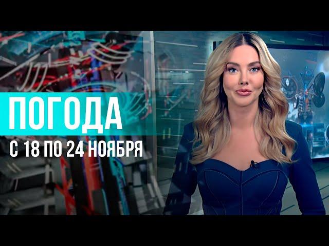 Погода на неделю 18-24 ноября 2024. Прогноз погоды. Беларусь | Метеогид